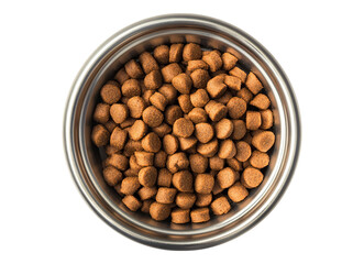 dog food in steel bowl