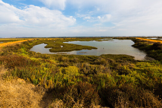 Marismas del Duque rio Guadalquivir