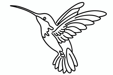 Fototapeta premium Elegant Line Art Drawing of Hummingbird - Detailed Monochrome Sketch of Humming Bird in Flight