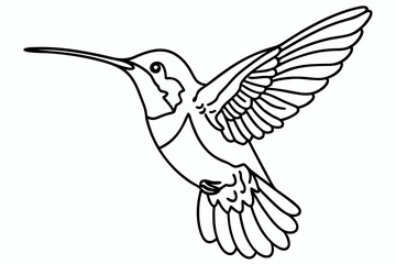 Obraz premium hummingbird in Continuous Line Art Style 
