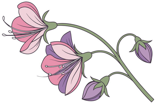 Pea Blossom clip art preview