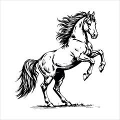 Dynamic black and white illustration of rearing horse with detailed mane