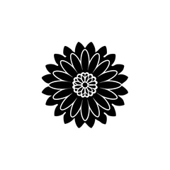 creative details Aster Blossom Icon vector illustration