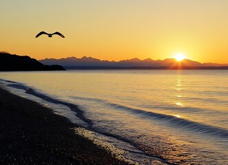 Obraz premium A golden beach with calm waters, a few seagulls flying overhead, and a picturesque sunset
