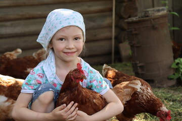 little girl feeding chickens. girl is hugging a red hen in the village. countryside rural scene. portrait of a girl with a chicken. happy child in nature.