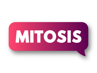 Mitosis is a part of the cell cycle in which replicated chromosomes are separated into two new nuclei, text concept message bubble