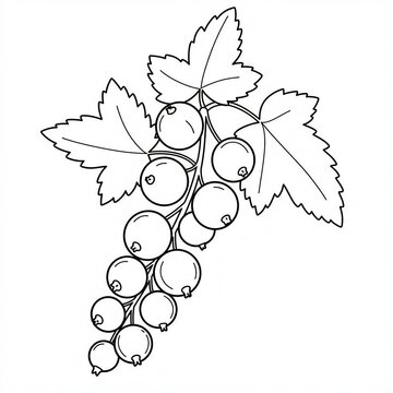 recommend clip art: branch with currant berries sketch 