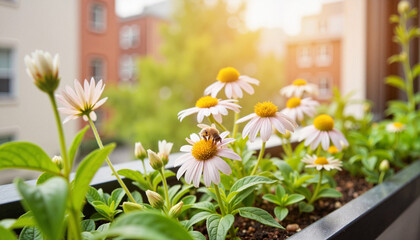 Bee on blooming flowers in urban windowsill, eco-friendly gardening