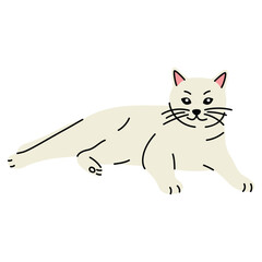 Flat style vector illustration of a cat. Simple cartoon design on a white background. Children’s projects, web design, print. Сlean minimal style, spring designs, sticker, icon, farm, domestic animal.