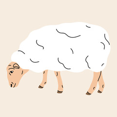 Flat style vector illustration of a sheep. Clean minimal style, spring designs, stickers, icons, livestock. Simple and soft cartoon look, farm-themed designs, nature projects, or educational materials