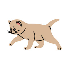 Vector illustration of a kitten in flat style. Simple and adorable design on a white background. Сhildren’s books, web design, stickers, clean farm animal clipart, spring graphics, domestic pets, icon