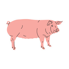 Cute flat pig illustration – cartoon farm animal vector. Vector image of a smiling pink pig in a flat cartoon style. Kids' materials, posters, stickers, web design, and nursery art,  farm-themed.