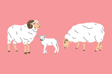 Flat style vector illustration of a ram, sheep, and lamb. Simple cartoon design colorful background. Children’s books, farm projects, spring designs, sticker, icon, rural animals, domestic livestock. 