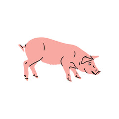 Vector piglet illustration in flat cartoon style. Cute baby farm animal with minimal clean design on a white background. Children’s products, farm themes, print, icon, sticker,  pink piggy, domestic