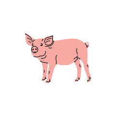 Flat style vector illustration of a piglet. Simple cute cartoon design on a white background. Children’s projects, farm themes, clean minimal style, sticker, icon, spring domestic animals, pink piggy 