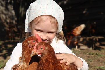 little girl with hens close up. looking at hens. village girl. countryside toddler. red hens. girl is hugging hens