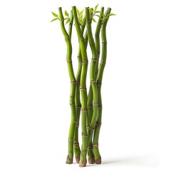 Fototapeta premium A number of segmented green stems stand next to each other. There are small, light leaves sprouting from their tops.