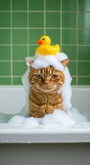 A cat sits in a bathtub with a disgruntled look, completely covered in foam, with a rubber yellow duck on his head and green retro tiles on the walls