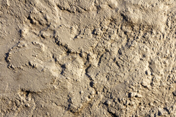 Rough Concrete Plaster Wall Texture with Natural Imperfections