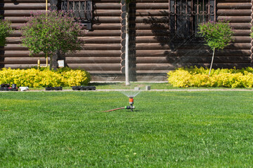 A garden sprinkler watering a lush green lawn in front of a wooden log house. The landscaped yard features trimmed bushes, yellow ornamental plants, and decorative wrought iron window grilles