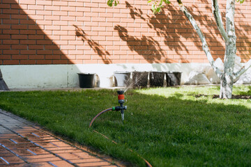 Automatic garden sprinkler watering a lush green lawn near a fruit tree on a sunny day. The fresh...