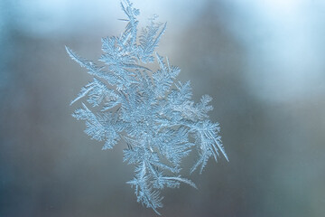 Natural frost pattern on a window. Frost patterns. Icy window in the winter.