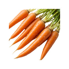 Fresh baby carrots