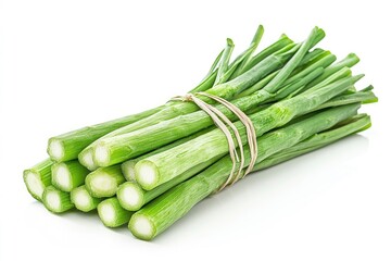 Bunch of Fresh Green Garlic Scapes Tied Up Isolated on White