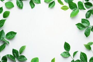 Green Leaves Frame on White Background for Creative Design Projects