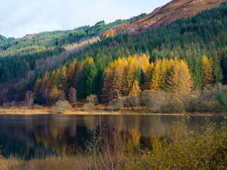 Forêt écossaise colorée se reflétant dans un loch en automne