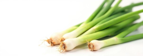Obraz premium A bunch of fresh green onion stems and bulbs isolated on a clean white background in a garden setting, vegetable, agricultural