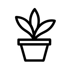 Potted Plant