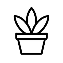 Potted Plant