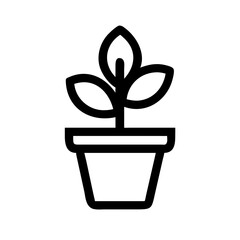 Potted Plant