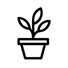 Potted Plant