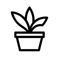 Potted Plant