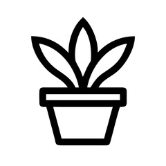 Potted Plant