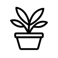 Potted Plant