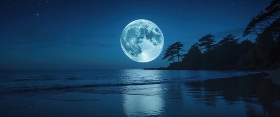 serene moonlit ocean view with silhouetted trees illustration