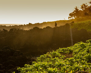 Female Hiker on Volcanic Shoreline of The Kings Trail Near Kauiau Point, Waianapanapa State Park,...