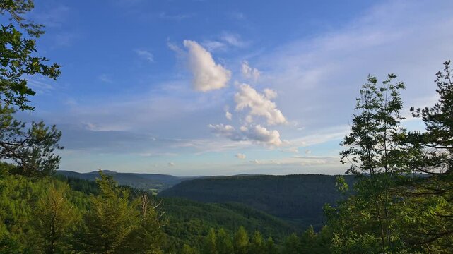 Waldlandschaft, Waldtal, Laubwald, Sommer, Schlossau, Mudau, Odenwald, Baden-W&uuml;rttemberg, Deutschland, Europa
