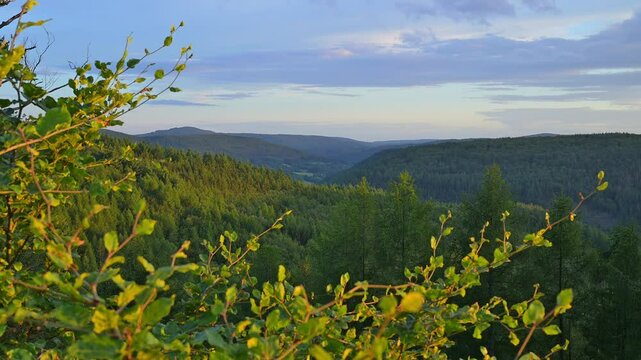 Waldlandschaft, Waldtal, Laubwald, Sommer, Schlossau, Mudau, Odenwald, Baden-W&uuml;rttemberg, Deutschland, Europa