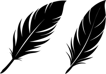 Elegant Feather Silhouettes collection black and white, Vector of feather set design