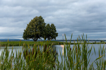 Pond in the park in summer. Trees near water in Andrew Haydon Park in Ottawa, Canada.