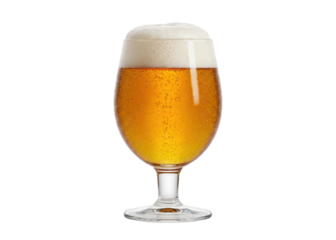 beer in a tulip glass