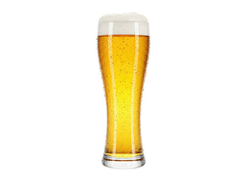 beer in a pilsner glass