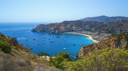 Obraz premium Panoramic View of Avalon Overlook, Catalina Island: A Vibrant Coastal Town by the Sea