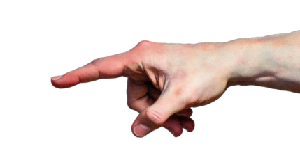 Engraving of a hand in pointing gesture, anatomical drawing, cut out transparent