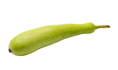 Bottle gourd Isolated on a Transparent Background PNG