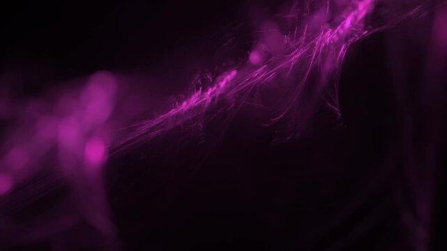 Leuchtende pinke filigrane Lichtfasern &ndash; dynamische Wissenschafts- und Technologie-Visualisierung zu Datentransfer und moderner Kommunikation, Nebel, Forschung

